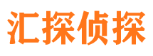 洛江侦探公司